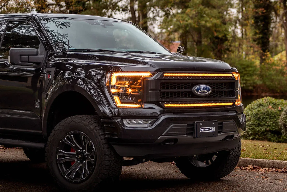 Ford F-150 (21 ) : Morimoto XBG LED DRL Grille