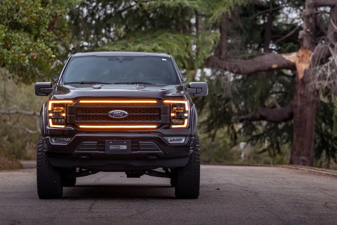Ford F-150 (21 ) : Morimoto XBG LED DRL Grille