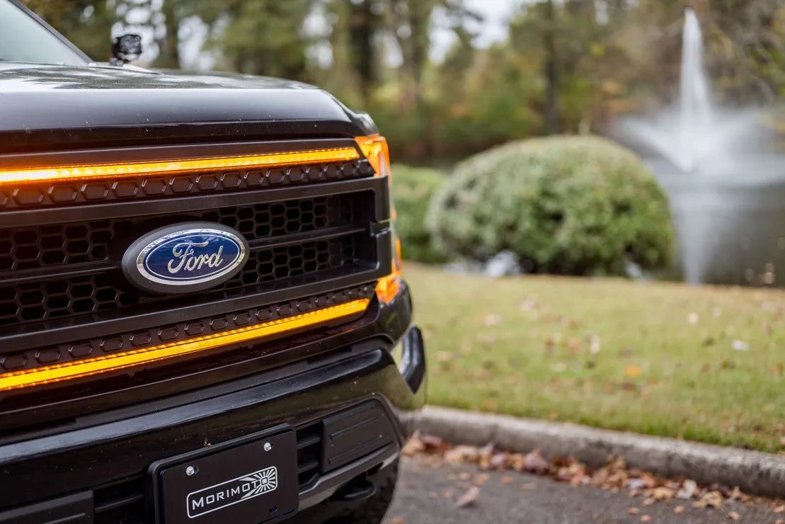 Ford F-150 (21 ) : Morimoto XBG LED DRL Grille