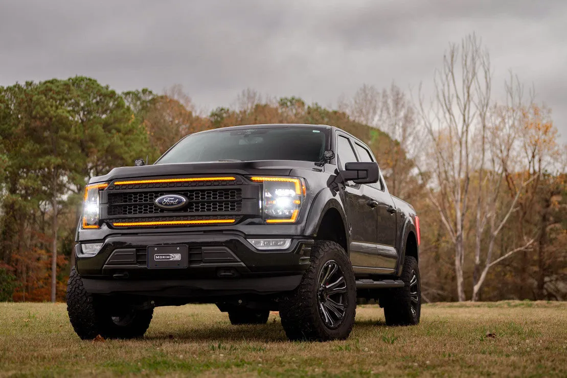 Ford F-150 (21 ) : Morimoto XBG LED DRL Grille