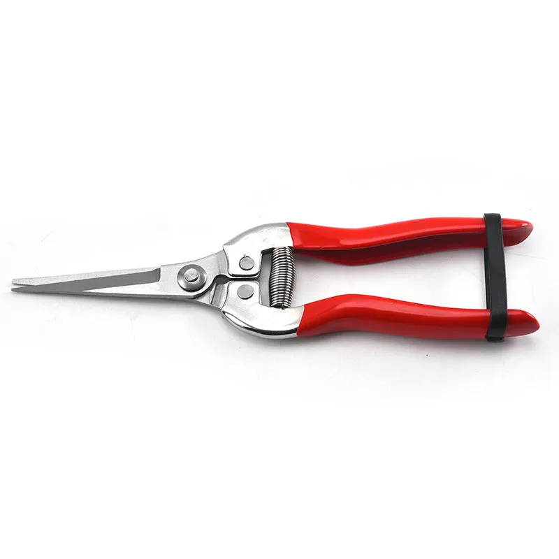 High Precision Stainless Steel Gardening Pruners for Fruit and Bonsai