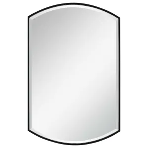 Shield Mirror